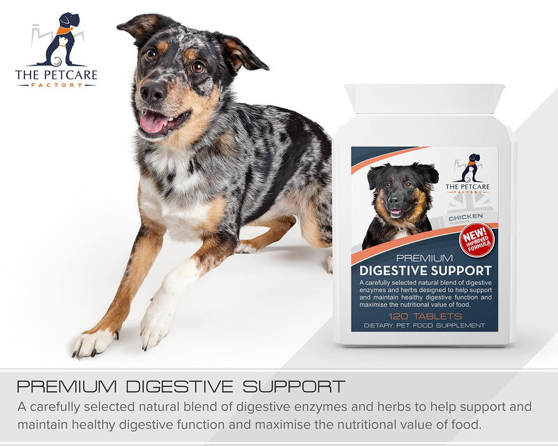 Premium Digestive Support, Containing Digezyme® a Powerful Enzyme Blend, Together With Slippery Elm, 120 Tablets, Supports Digestive Health Increasing Nutritional Food Value, UK Manufactured - PawsPlanet Australia