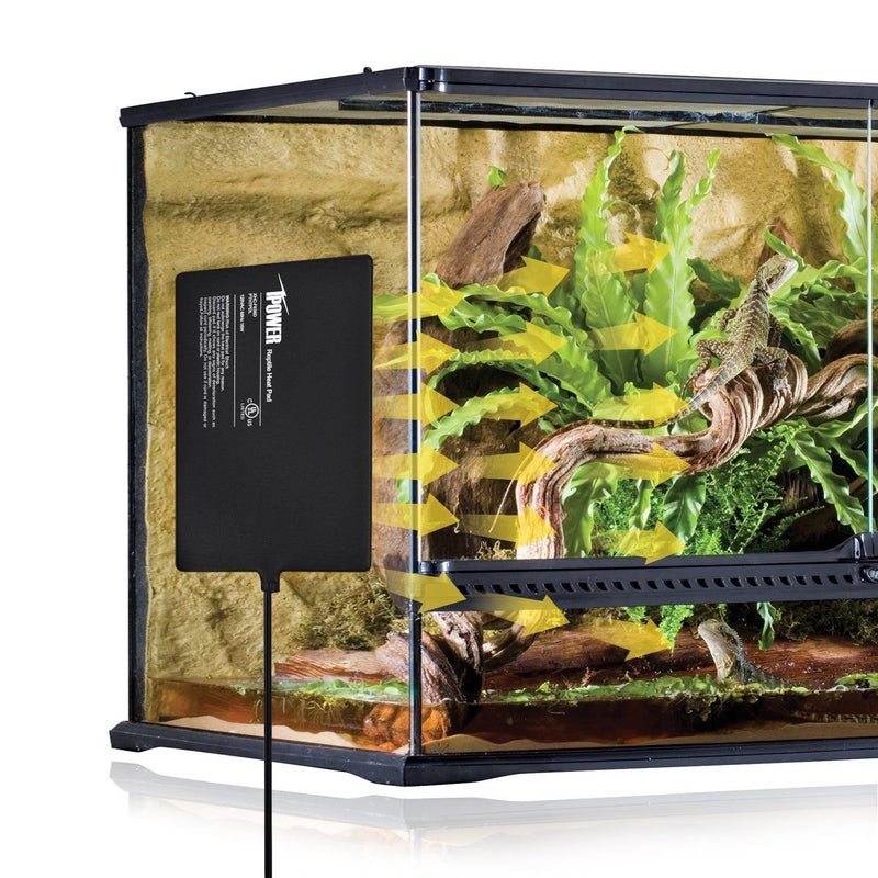 [Australia] - iPower Under Tank Heat pad and Digital Thermostat Combo Set for Reptiles 8" x 12" & Control 