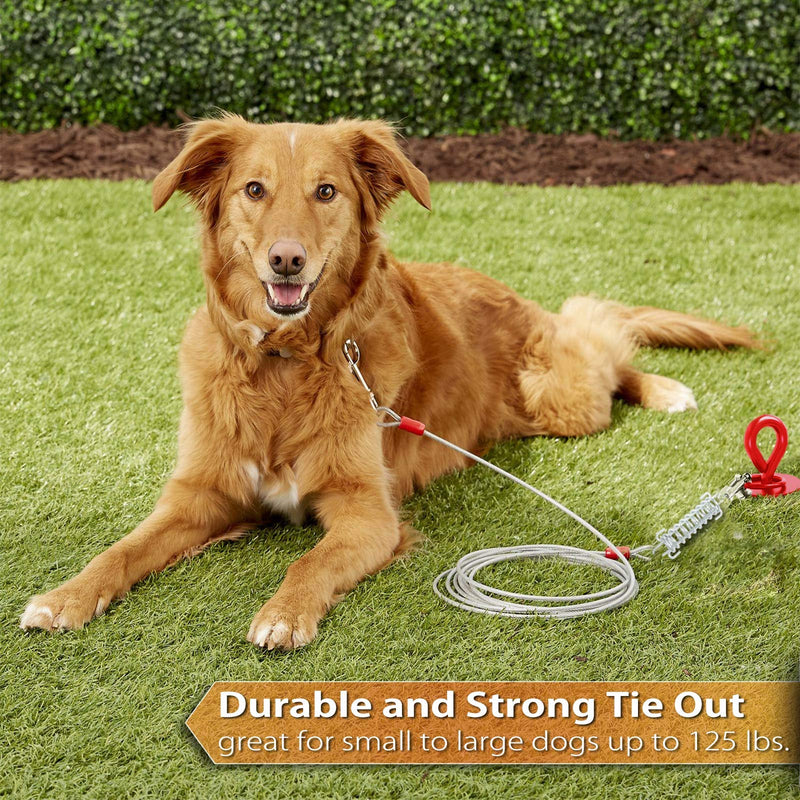 Pestairs Dog Tie Out Cable -20ft 30ft 50ft Tie Out Cable for Dogs with Durable Spring for Outdoor, Yard and Camping No Tangle Rust Proof Training Dog Leash for Medium to Large Dogs Up to 125 Lbs 20 ft Silver - PawsPlanet Australia