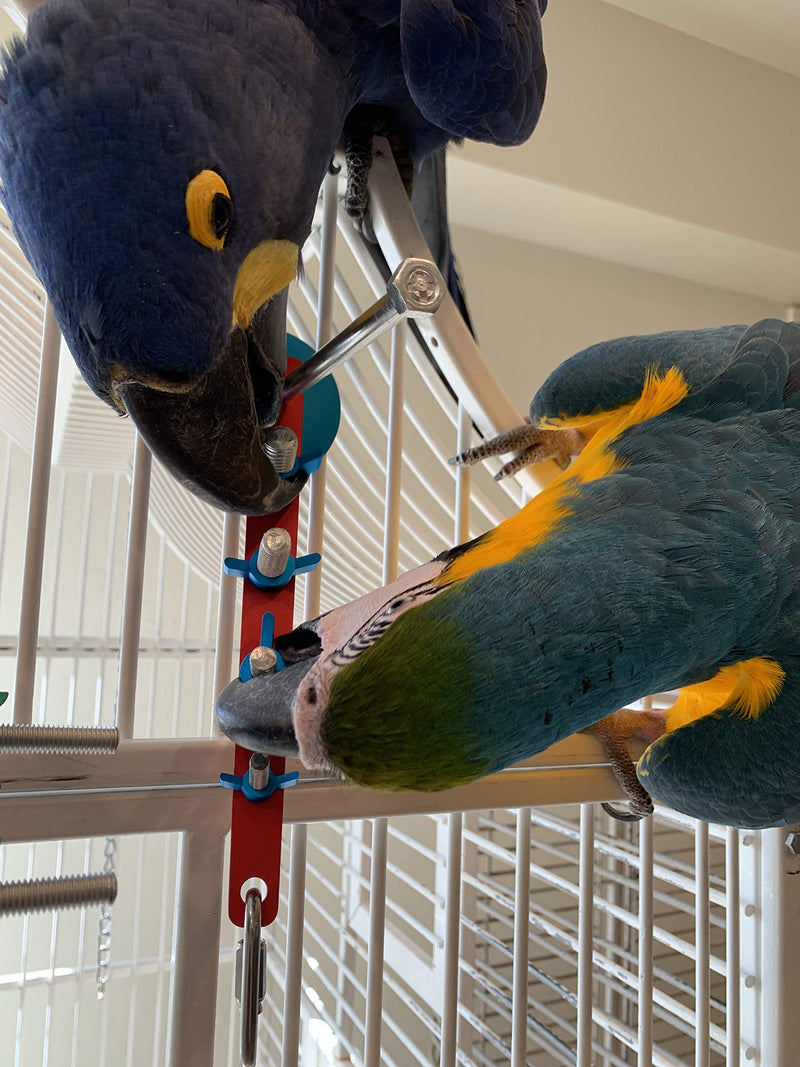 [Australia] - Busy Strip Parrot Engagement Toy Brain Mind Toys African Grey Cockatoo Amazon catalinas Macaws Conures Medium, Large, Extra Large Birds 