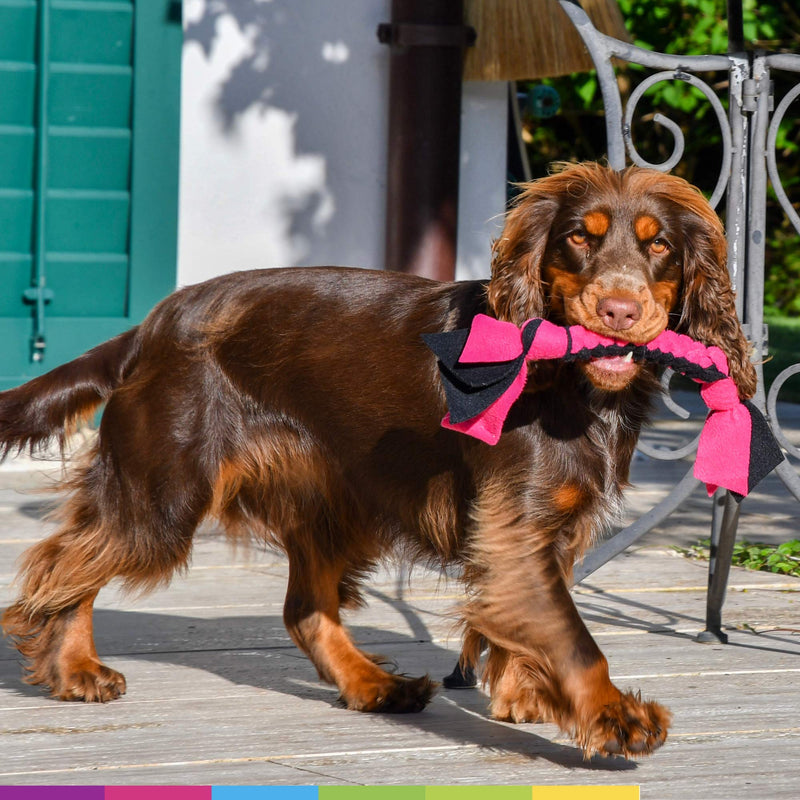 DogDirect London, DOG TUG TOY Tugger Tug Chase Rope SMALL: 45cm/17in, LARGE: 75cm/29in, Soft plaited Flexible FLEECE DOG TOYS Ideal FOR TRAINING, PUPPY PLAY, HAND MADE (Small, Blue) KAS2 - PawsPlanet Australia