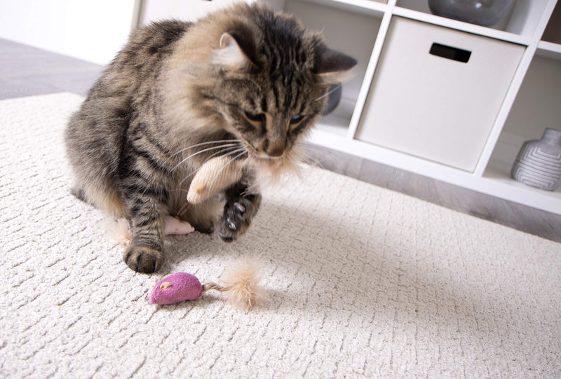 [Australia] - Petlinks Cat Toys with Feathers 