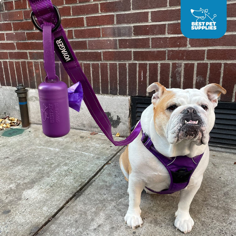 Best Pet Supplies Dog Poop Bags for Waste Refuse Cleanup, Doggy Roll Replacements for Outdoor Puppy Walking and Travel, Leak Proof and Tear Resistant, Thick Plastic (30 Bags) 1Fuchsia - PawsPlanet Australia