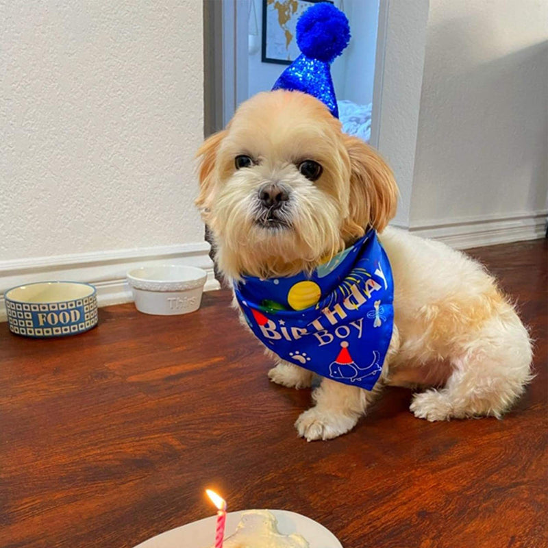 ADOGGYGO Dog Birthday Bandana Hat Set Dog Puppy Birthday Party Supply Dog Bandana Boy Girl Puppy Birthday Hat Scarf for Small Medium Dog Pet Blue Scarf & Hat - PawsPlanet Australia