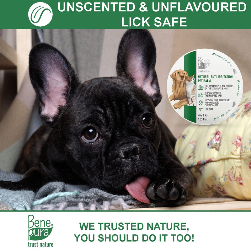 Bene Pura Trust Nature 100% Natural Anti-Irritation Pet Balm – For Paws, Nose, Skin –For Dogs, Cats & Other Pets 1.35 fl.oz - PawsPlanet Australia