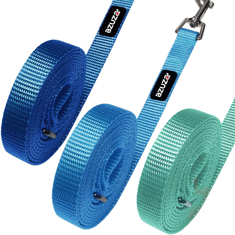 azuza 3 Pack Nylon Dog Leashes,Strong & Durable Basic Style Leash with Easy to Use Collar Hook,Available in Multiple Lengths for Puppy Small Medium and Large Dogs standard 3 pack 1"×4ft Blue - PawsPlanet Australia