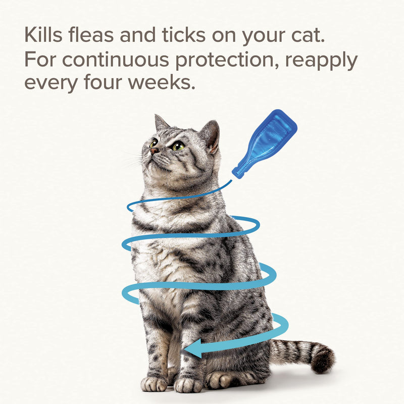 Beaphar | FIPROtec® Spot-On for Cats | Kills Fleas & Ticks | Vet Strength Treatment | 4 Pipettes - PawsPlanet Australia