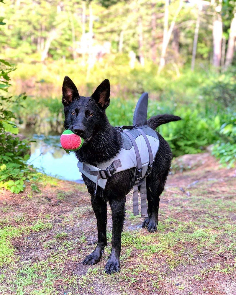 ASENKU Dog Life Jacket Pet Life Safety Vest for Swimming Boating, Dog Shark Life Jackets Dog Lifesavers Swimsuits for Pool, Dog Water Floatation Vest for Small Medium Large Dogs X-Small Gray - PawsPlanet Australia