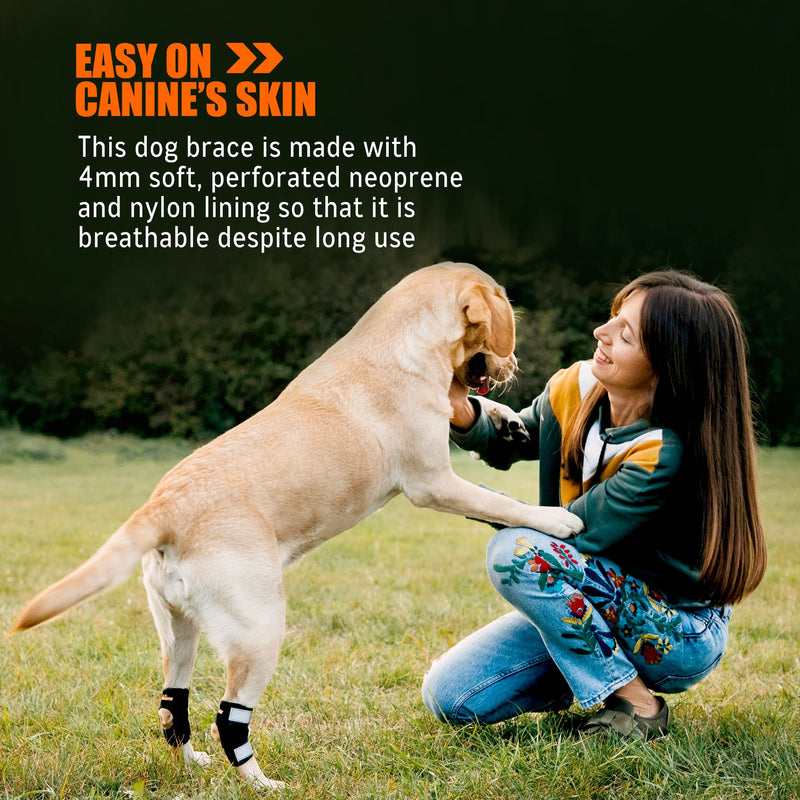 NeoAlly Super Supportive Dog Braces for Rear Leg and Hock Joint with Dual Metal Spring Strips Stabilize Canine hind Legs from Wound, Injury, Sprains, Arthritis (S Pair) S Black - PawsPlanet Australia