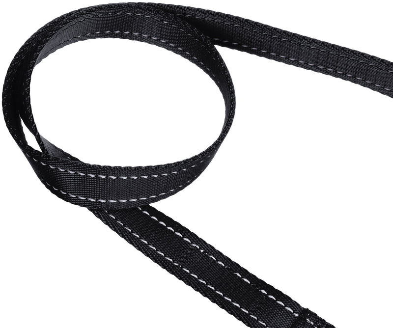 Amazon Basics Padded Handle Dog Leash - 1.52 m, Black 1.5 m - PawsPlanet Australia