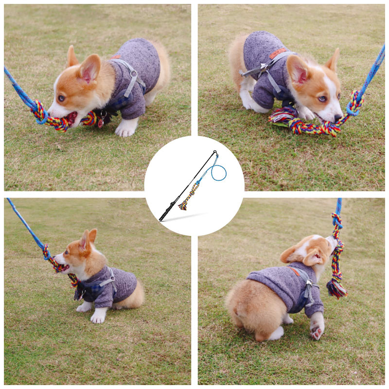 DIBBATU Dog Flirt Pole Toy, Interactive Teaser Wand for Dogs Tug of War and Outdoor Exercise, Tether Lure Toy with Chewing Rope to Chasing and Training for Small Dogs - PawsPlanet Australia