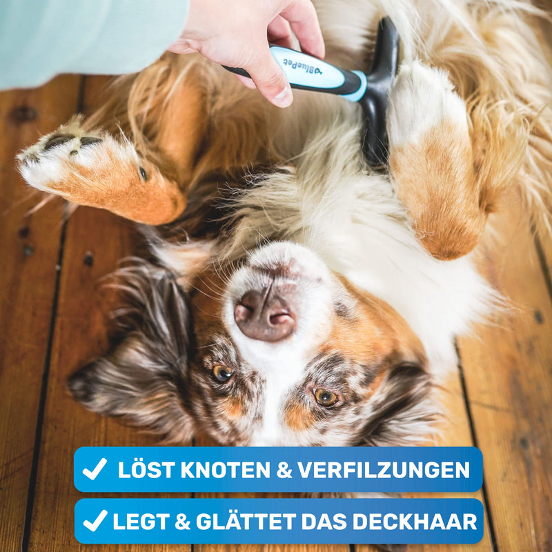BluePet GlanzTanz fur detangler detangler for long-haired dogs and cats - high-quality dog curry comb with two rows of pins - loosens knots and tangles - smoothes and detangles the top hair (blue) blue - PawsPlanet Australia