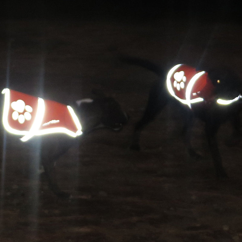 SafetyPUP XD - Reflective Dog Vest. Hi-Visibility, Fluorescent Blaze Orange Dog Vest Helps Protect Your Best Friend. Safeguard Your PUP from Motorists & Hunting Accidents, On or Off Leash. (X-Small) X-Small - PawsPlanet Australia