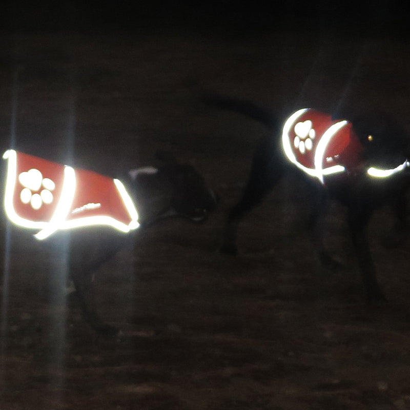 SafetyPUP XD - Reflective Dog Vest. Hi-Visibility, Fluorescent Blaze Orange Dog Vest Helps Protect Your Best Friend. Safeguard Your PUP from Motorists & Hunting Accidents, On or Off Leash. 5 Small - PawsPlanet Australia