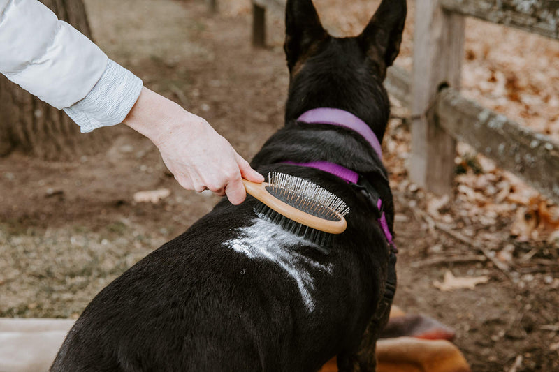 [Australia] - Dry powder shampoo for dogs and puppies. Waterless dog shampoo is all natural, relaxes dogs. Great dry shampoo for smelly dogs. 