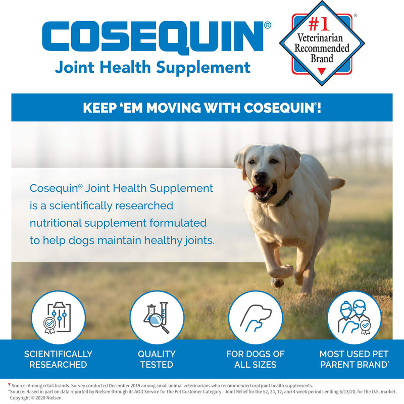 Nutramax Cosquin DS Chewables Plus MSM Tablet, Chicken Taste, 60-Count 60 Count (Pack of 1) - PawsPlanet Australia