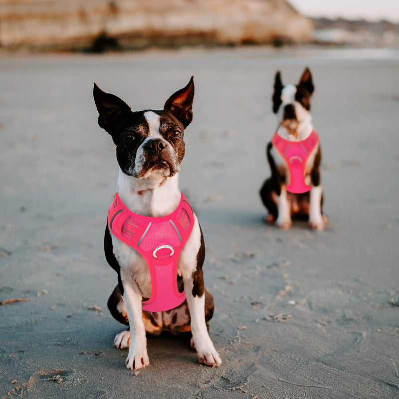[Australia] - BARKBAY No Pull Dog Harness Large Step in Reflective Dog Harness with Front Clip and Easy Control Handle for Walking Training Running with ID tag Pocket Pink 