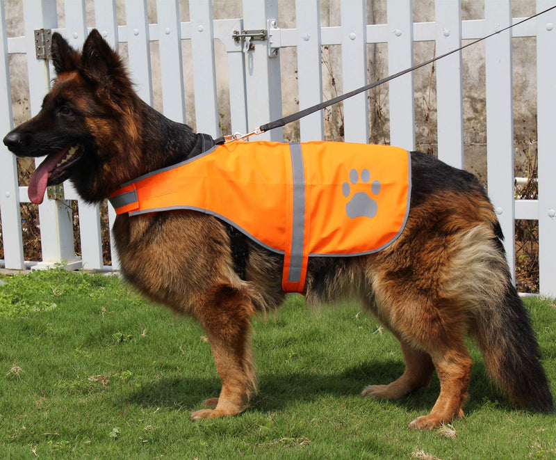 [Australia] - Hiado Dog Reflective Safety Vest High Visibility for Walking Running Hiking to Keep Dogs Visible Safe from Cars and Hunting Accidents L(chest 25"-30") Orange 