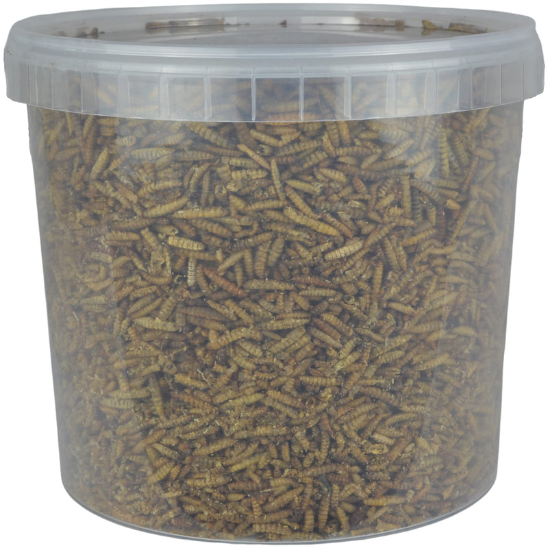 Supa Dried Calci Worms for Wild Birds, 5 Litre Bucket, High Energy Protein Rich Treat For Garden Birds, Attract More Birds To Your Garden, Quality Wild Bird Food - PawsPlanet Australia