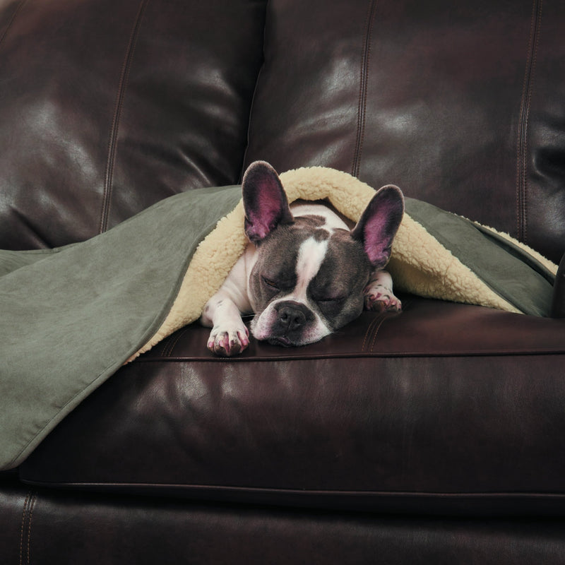 [Australia] - ThermaPet Slumber Pet Burrow Blanket 