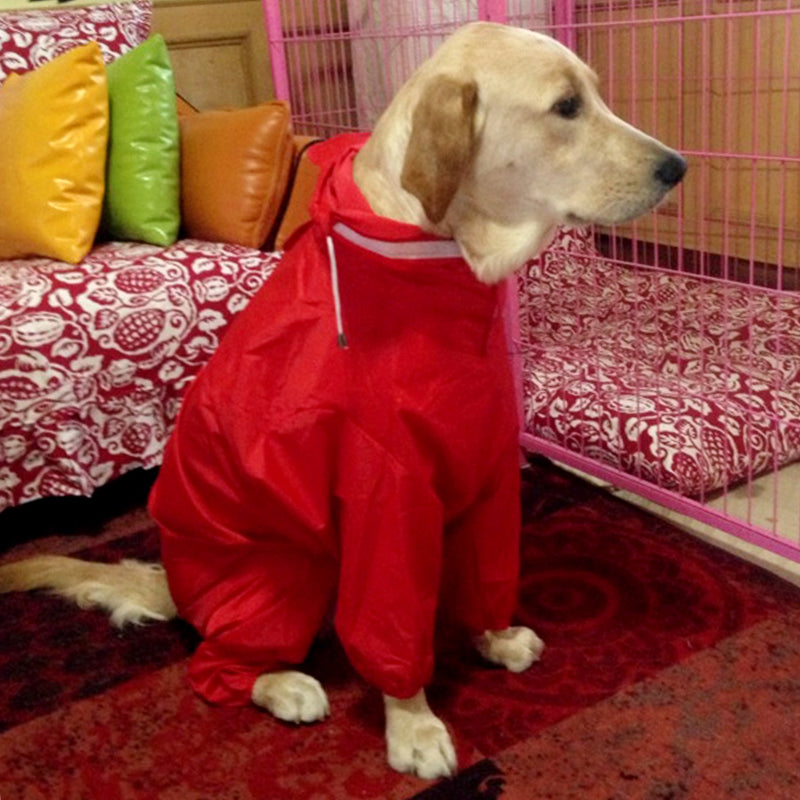[Australia] - Alfie Pet - Bella Rainy Days Waterproof Raincoat (for Dogs and Cats) Medium Red 
