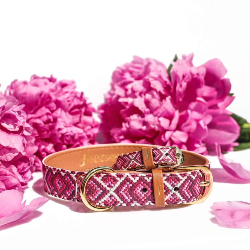 FriendshipCollar Dog Collar and Matching Bracelet - The Pink Princess - X-Large - PawsPlanet Australia