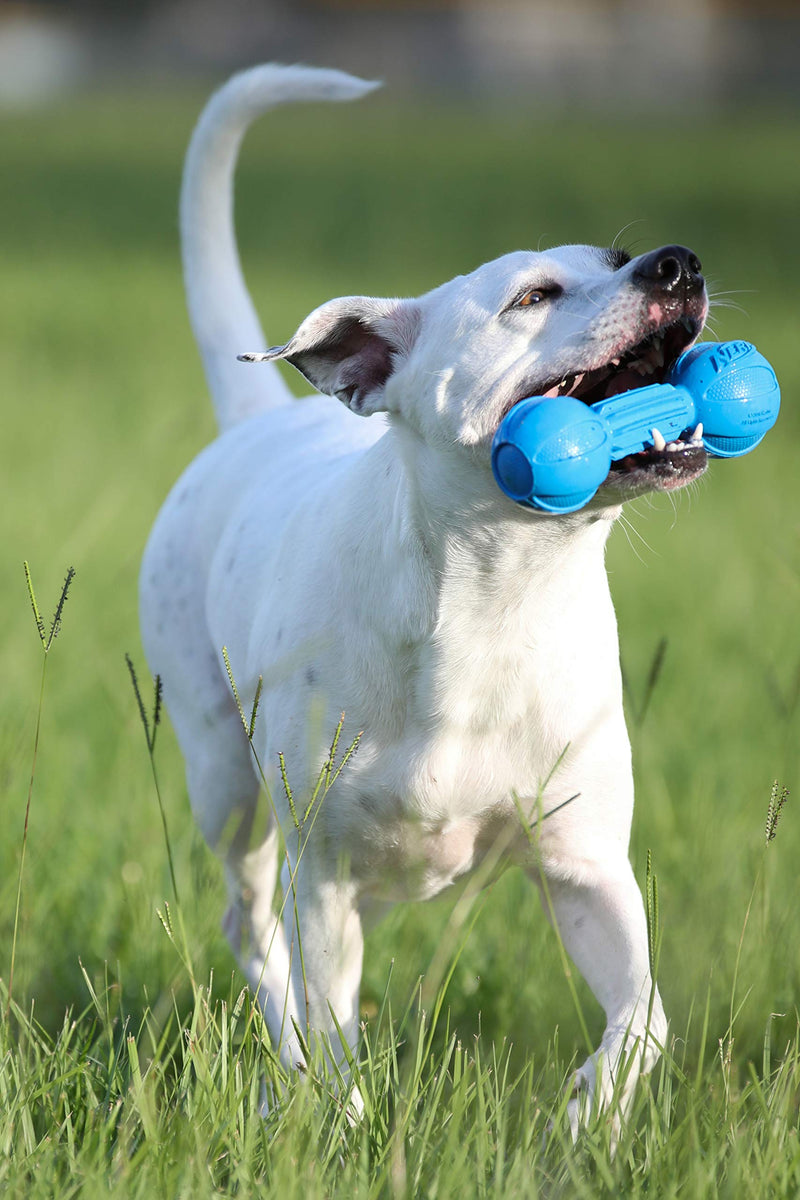 [Australia] - Nerf Dog Barbell Chew Toy 2-Pack Blue and Green 