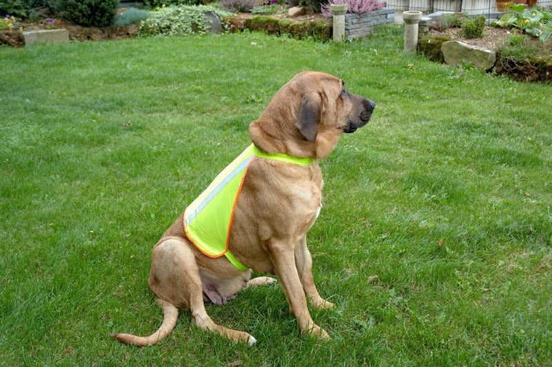 Kruuse Reflective Dog Vest, X-Large XL - PawsPlanet Australia