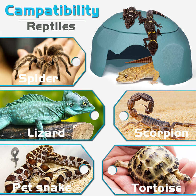 Fischuel Reptile Hides Humidification Cave Help Your Pets Shedding, A Damp Hideout with Natural Rock designto, Suitable for Bearded Dragons Lizards Leopard Gecko Spiders Turtles and Snakes Blue - PawsPlanet Australia