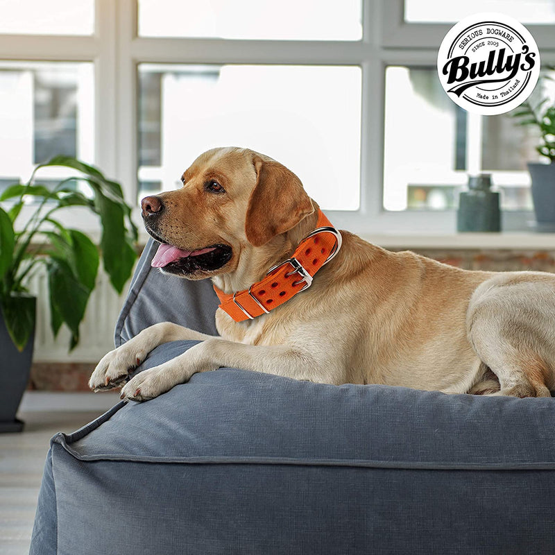 Pit Bull Collar, Dog Collar for Large Dogs, Heavy Duty Nylon, Stainless Steel Hardware (XL, Orange Juice) XL-5.1 cm Wide - PawsPlanet Australia