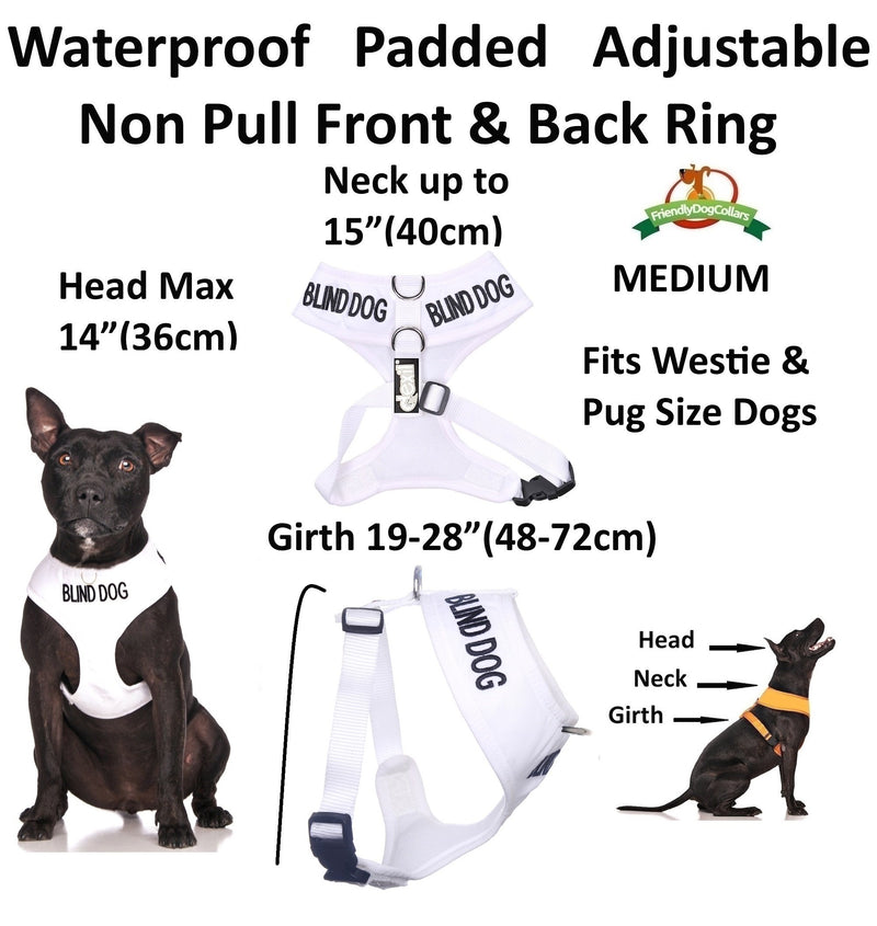 [Australia] - Blind Dog (Dog Has Limited/No Sight) White Color Coded Non-Pull Front and Back D Ring Padded and Waterproof Vest Dog Harness Prevents Accidents by Warning Others of Your Dog in Advance Medium Harness 19-28inch Chest 