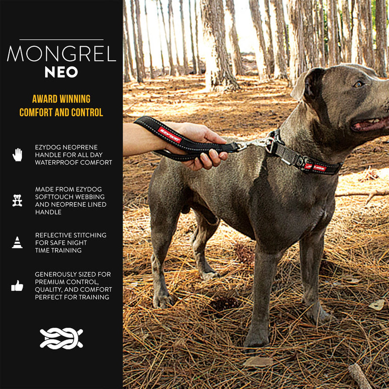 [Australia] - EzyDog Neo Mongrel Web Dog Leash Black 