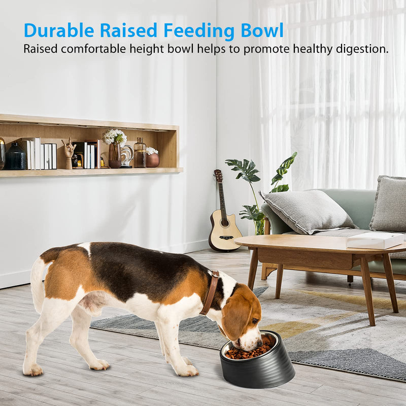 UPPETLY 15°Slanted Stainless Steel Dog Bowl, Tilted Angle No Spill Non-Skid Cat Food Bowl, Stress Free Food Grade Material Feeder for Pets Puppy Small Medium Dogs Black - PawsPlanet Australia