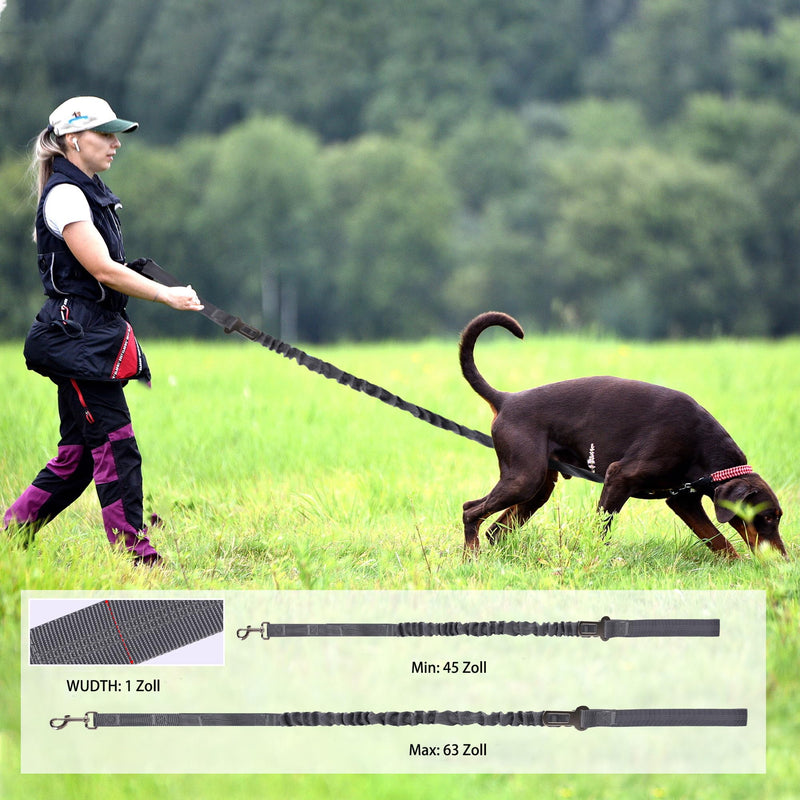Dog Leash for Training, Flexi Elastic Shock Absorber for Dogs with 2 Padded Handles and Metal Hooks, Strong Bungee Dog Leash for Small, Medium and Large Dogs (Gray) Gray - PawsPlanet Australia