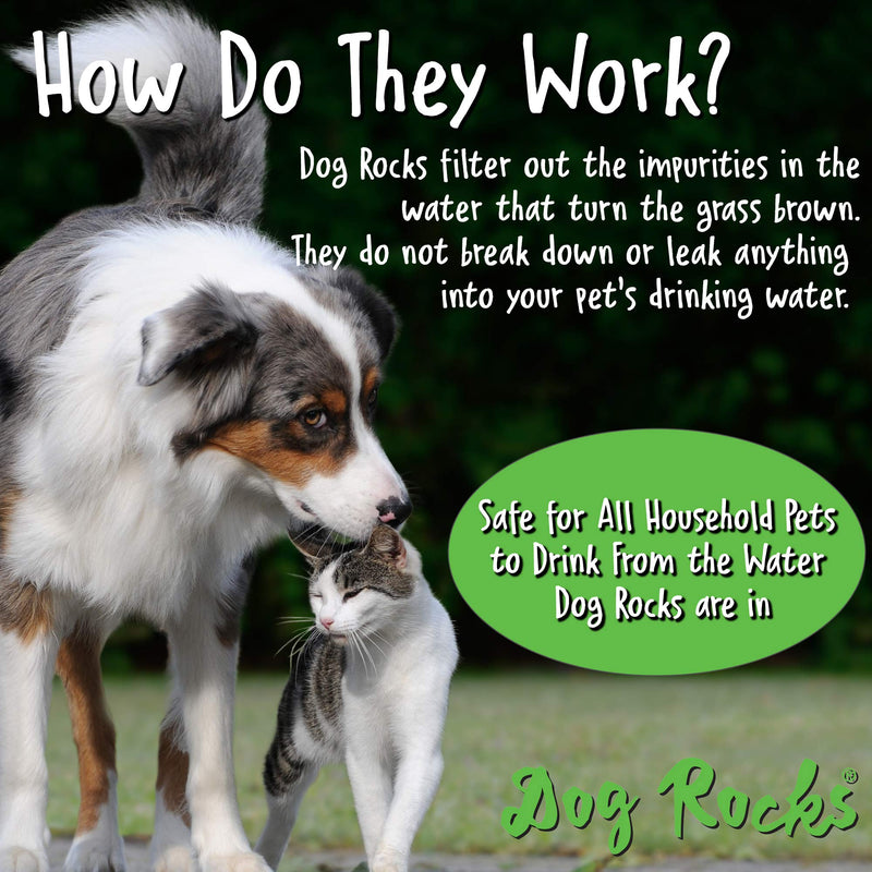 (2 Pack) Dog Rocks Prevent Grass Burn Marks, 4 Month Supply - PawsPlanet Australia