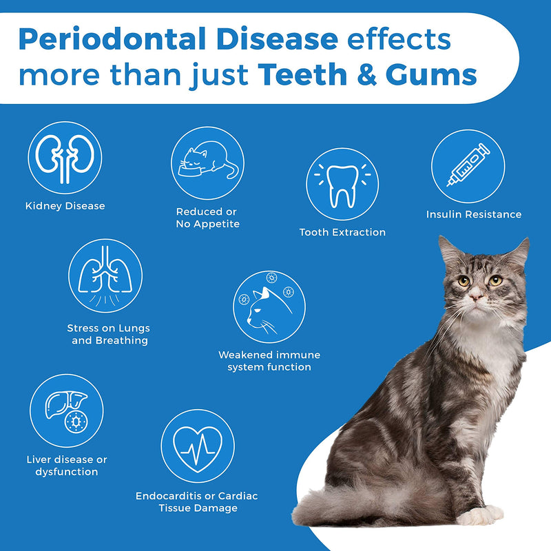 BestLife4Pets Oral Health for Cats and Dental Care Supplement – All Natural Anti-inflammatory Pain Relief for Stomatitis Gingivitis and Gum Disease - Easy to Use 1-Pack - PawsPlanet Australia