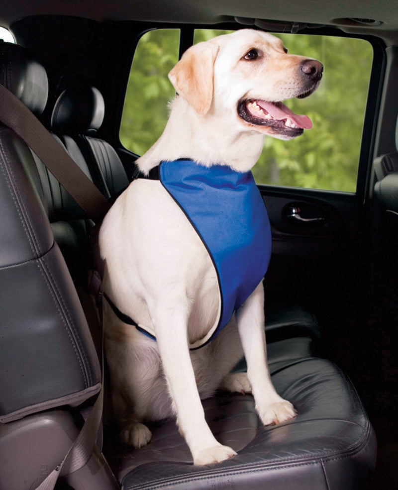 [Australia] - Guardian Gear Nylon Lift and Lead 4-in-1 Dog Harness l Blue 