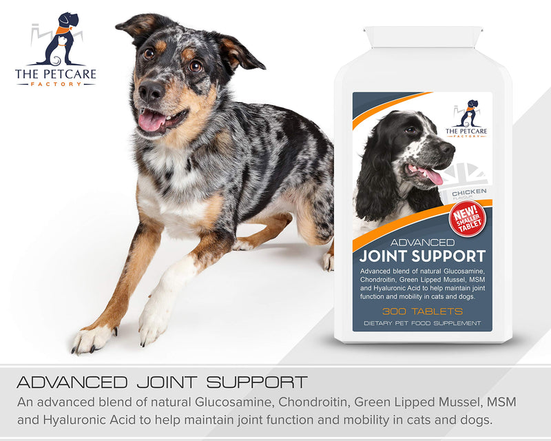 Advanced Joint Support Supplement For Dogs, With Powerful Active Ingredients To Help Naturally Support and Maintain Joint Health, Human Grade Quality, 300 Tablets, UK Manufactured - PawsPlanet Australia
