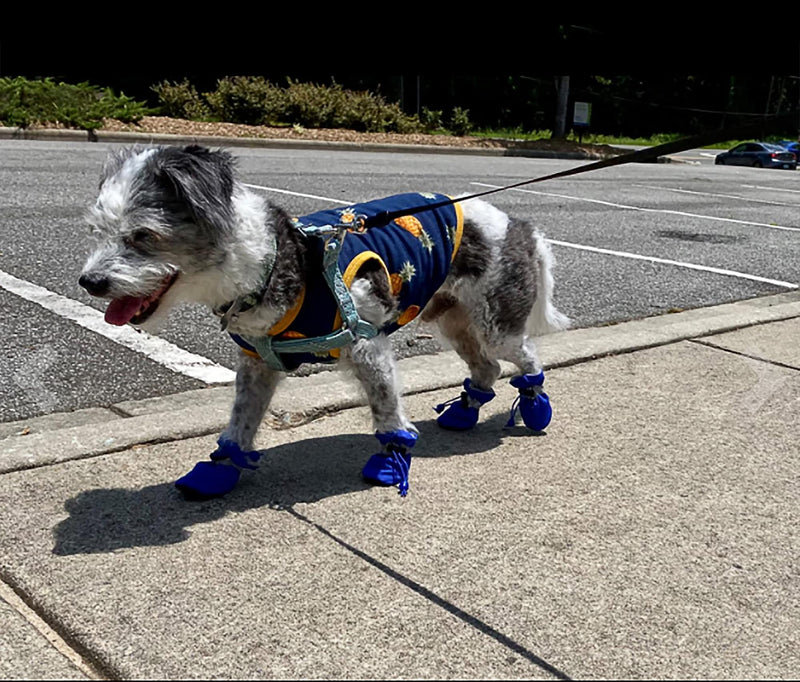 YAODHAOD Dog Boots Paw Protector, Anti-Slip Dog Shoes，These Comfortable Soft-Soled Dog Shoes are with Reflective Straps, for Small Dog (2, blue) 2 - PawsPlanet Australia