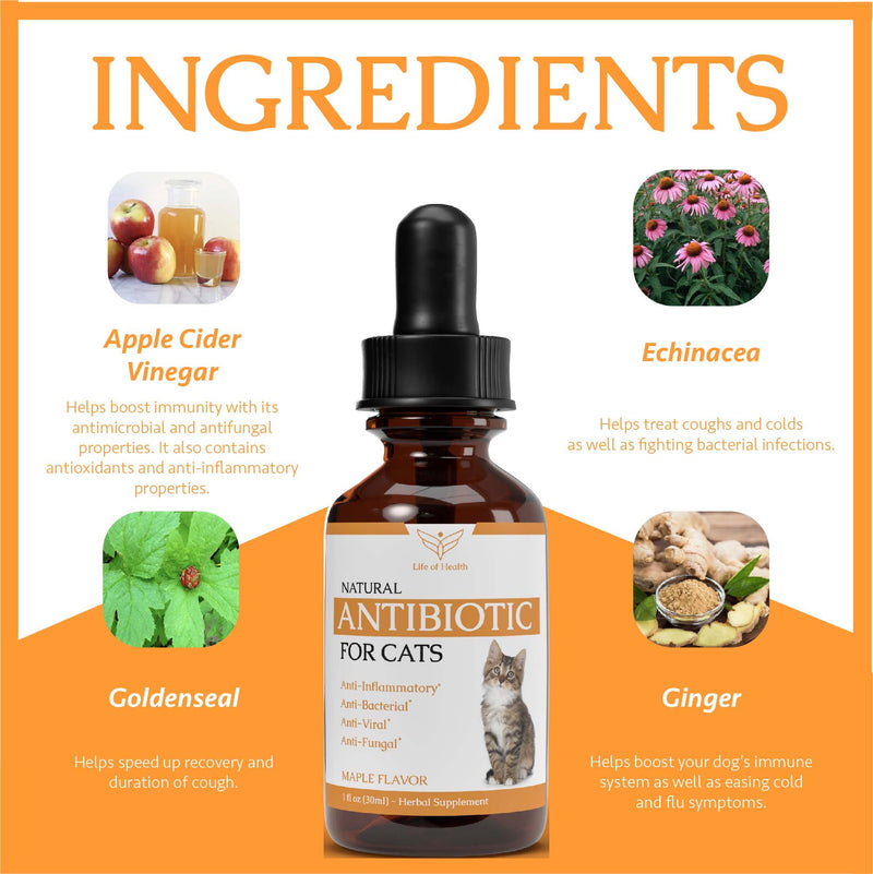 Natural Antibiotics for Cats - Cat Antibiotics - Cat Antibiotic - Pet Antibiotics - Cat Immune Support - Antibiotic for Cats - Cat Multivitamin - Cat UTI Antibiotics - 1 fl oz: Roast Chicken Flavor - PawsPlanet Australia