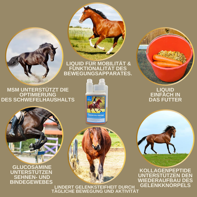 EMMA MSM Horse 1L Liquid Glucosamine & Chondroitin High dosage with MSM