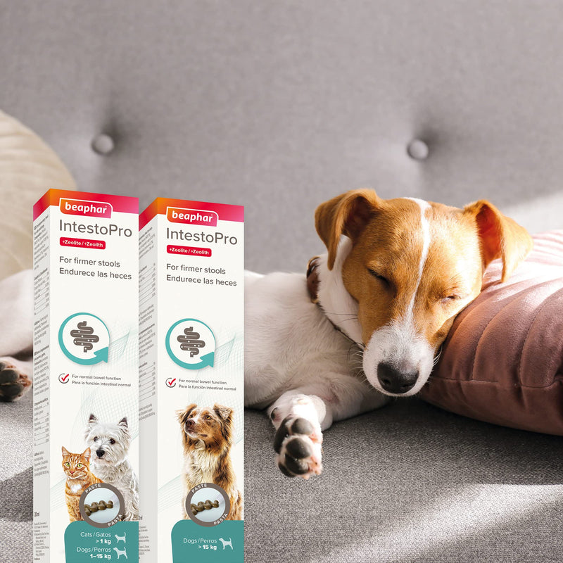 Beaphar IntestoPro Paste for Dogs - PawsPlanet Australia