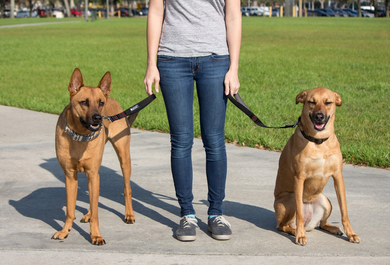 [Australia] - Leashboss Short Dog Leash with Padded Handle - 12, 18, 24 and 30 Inch Leads for Large Dogs - 1 Inch Nylon 12 Inch Black/Red/Grey 