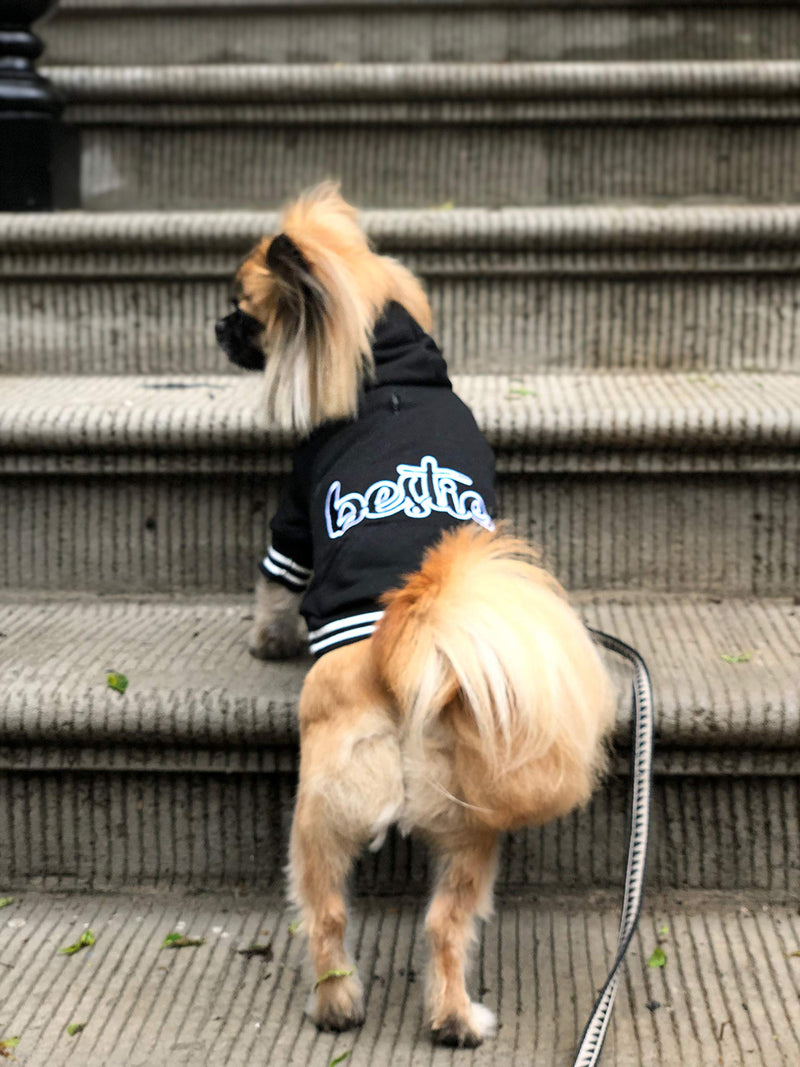 [Australia] - Parisian Pet Dog Hoodie - Stylish Pullover Sweatshirt for Small to Large Dogs - Lightweight Dog Coat Suitable for All Seasons XS Bestie Hoodie 