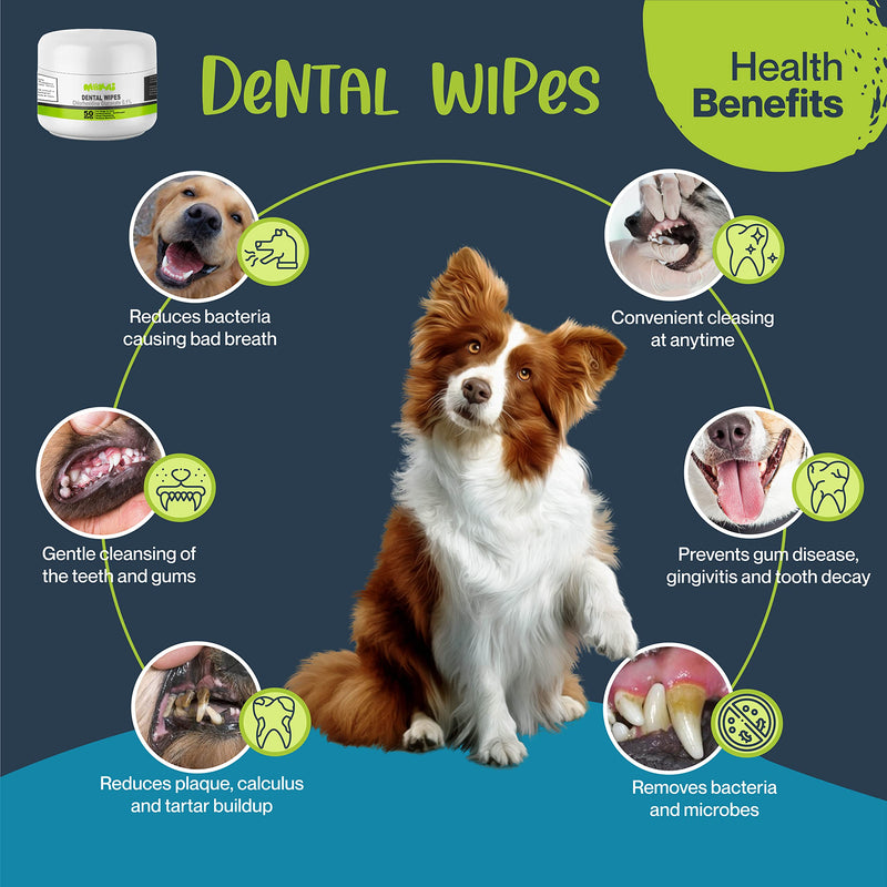 MOKAI Dental Wipes for Dogs and Cats | Dog Dental Wipes with Chlorhexidine Great for Dog Teeth Cleaning and Cat Teeth Cleaning Preventing Plaque Tartar Bad Breath Tooth Decay and Gingivitis 50 Pads - PawsPlanet Australia
