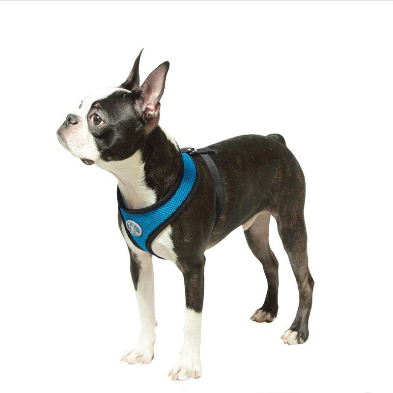 [Australia] - Gooby - Soft Mesh Harness, Small Dog Harness with Breathable Mesh Small chest (9.5-13") Sea Blue 