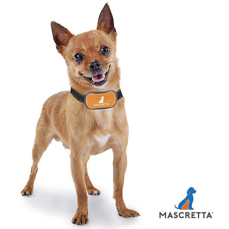 Mascretta Shock Collar for Dogs. Anti Bark Collar for Dogs. Anti Barking Collar for Dogs. Dog bark Collar with Shock to Train The Habit of bark. No Bark Collar for Medium and Large Dogs (an-S2) - PawsPlanet Australia