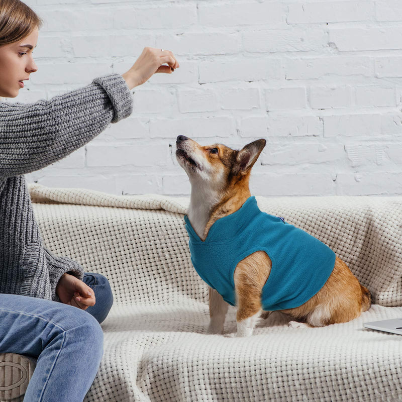 6 Pieces Dog Fleece Vest Dog Pullover Warm Dog Jacket Cold Weather Pet Sweater with Leash Ring Cozy Dog Clothes for Small Cats Dogs Bright Colors S - PawsPlanet Australia
