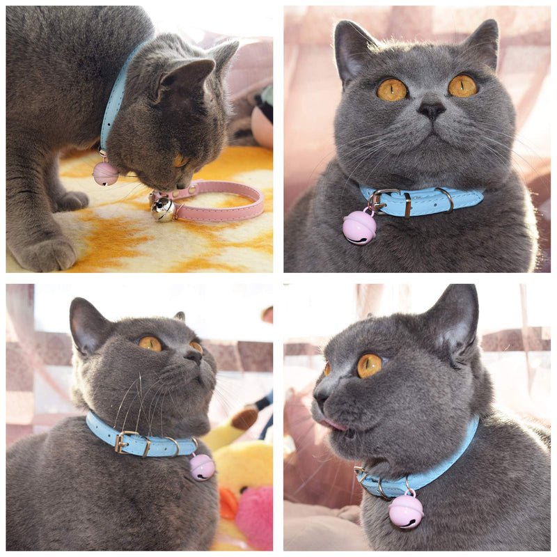 KMSYCATS Cat Collars Hand-Polished Metal Adjustable Buckle. Pet Can Easily Accept This Collar. The Leather is Not Easy to Damage, Suitable for Long-Term Wearing, with Colorful Silent Bells. sky - PawsPlanet Australia