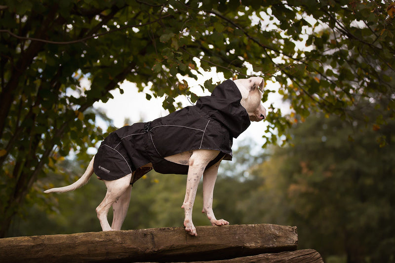 Croci Hiking Coat for Dogs, Waterproof for Dogs, Makalu, Thermoregulating Lining, Black, Size 20 cm - 120 g - PawsPlanet Australia